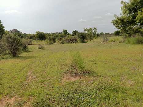 9 Acre Agricultural/Farm Land for Sale in Tanakallu, Anantapur