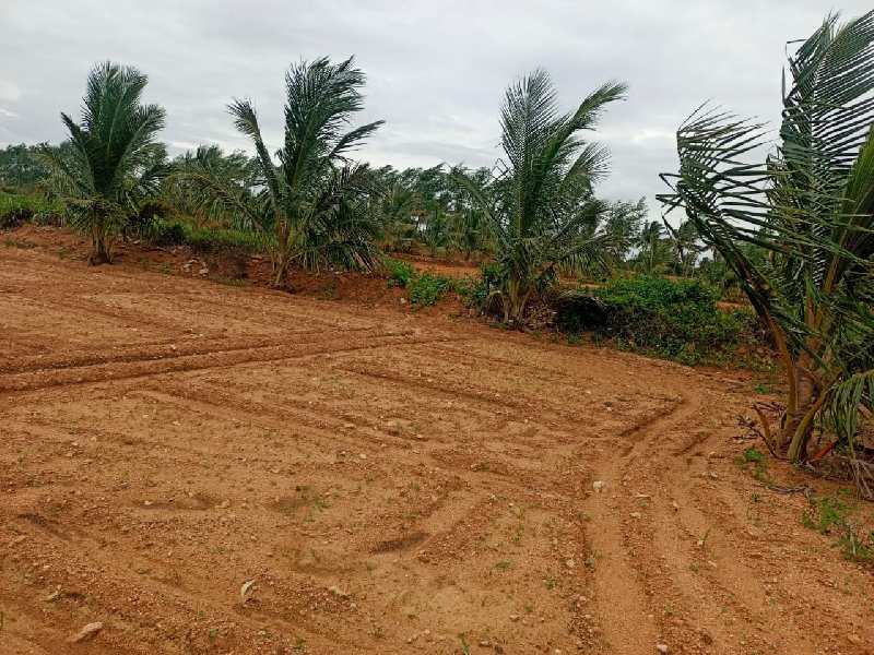 4.50 Acre Agricultural/Farm Land for Sale in Uddanapalli, Krishnagiri