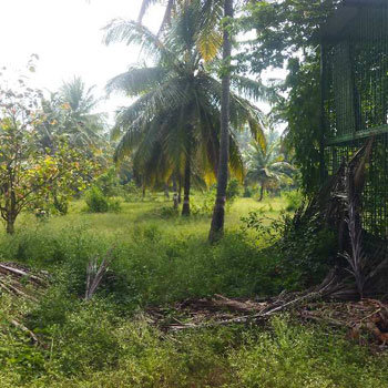2 Acre Agricultural/Farm Land for Sale in Nanjangud, Mysore