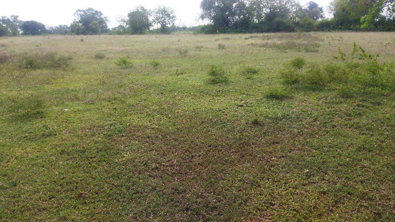 3 Acre Agricultural/Farm Land for Sale in Nanjangud, Mysore