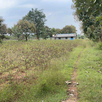 20 Guntha Agricultural/Farm Land for Sale in Nanjungud Road, Mysore