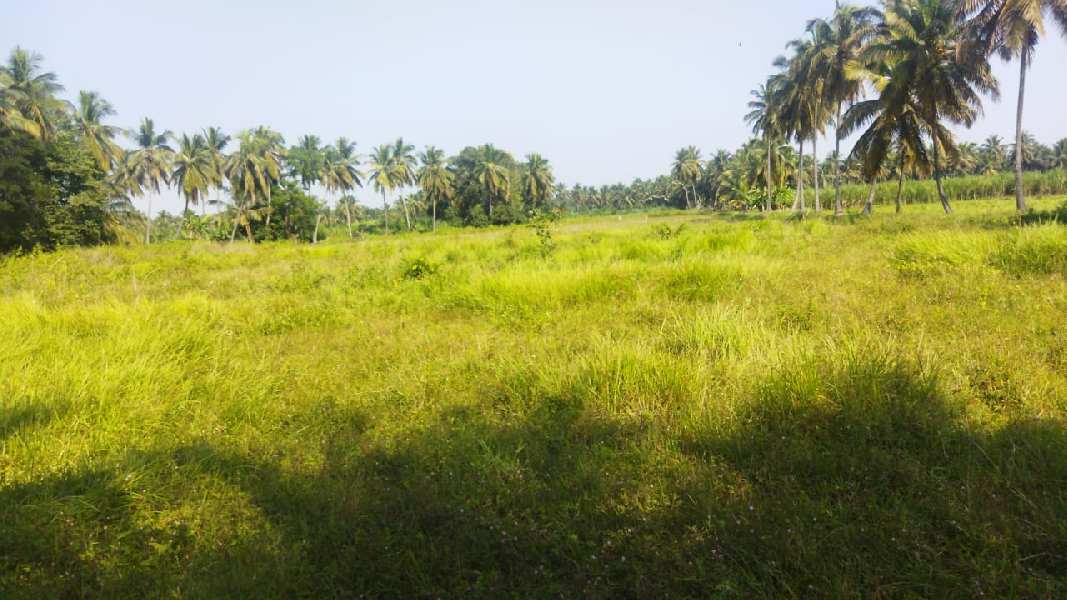 4 Acre Agricultural/Farm Land for Sale in Pavagada, Tumkur