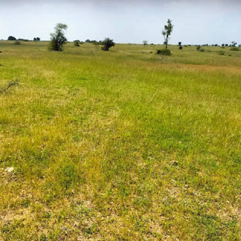 3.50 Acre Agricultural/Farm Land for Sale in Marandahalli, Dharmapuri