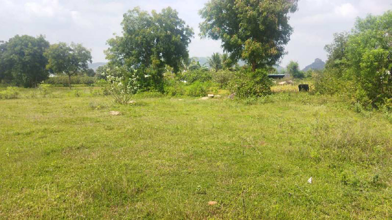10 Acre Agricultural/Farm Land for Sale in Vellicode, Kanyakumari