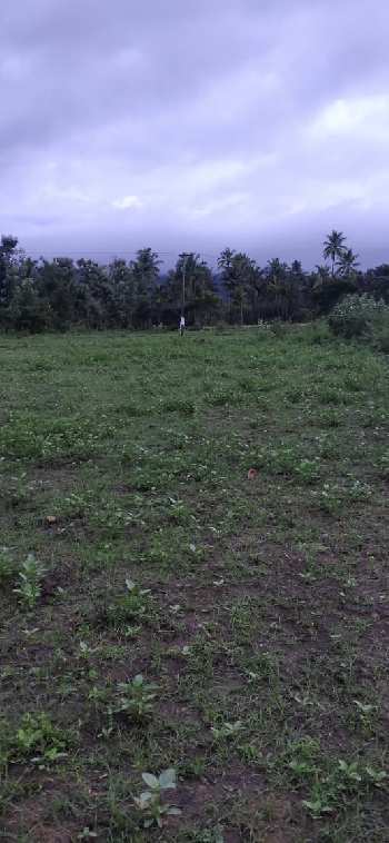 2 Acre Agricultural/Farm Land for Sale in Marandahalli, Dharmapuri