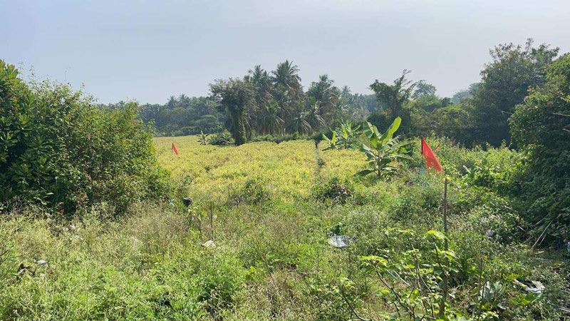 1 Acre Agricultural/Farm Land for Sale in Nanjangud, Mysore