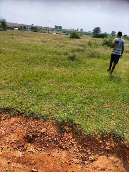 12 Acre Agricultural/Farm Land for Sale in Pavagada, Tumkur