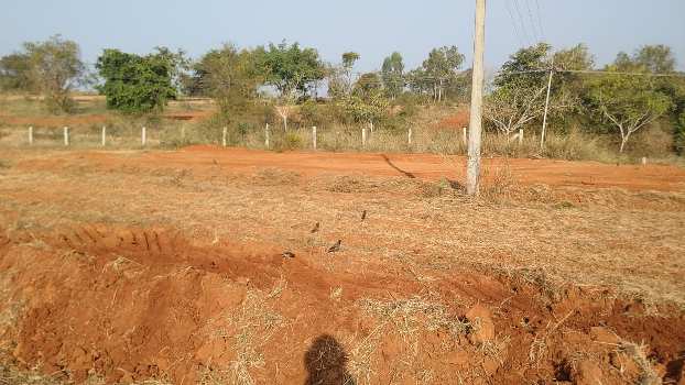 4 Acre Agricultural/Farm Land for Sale in Krishnarajanagar, Mysore