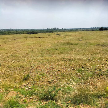 3 Acre Agricultural/Farm Land for Sale in Marandahalli, Dharmapuri