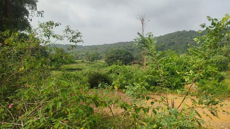 3 Acre Agricultural/Farm Land for Sale in Chamarajanagar, Mysore