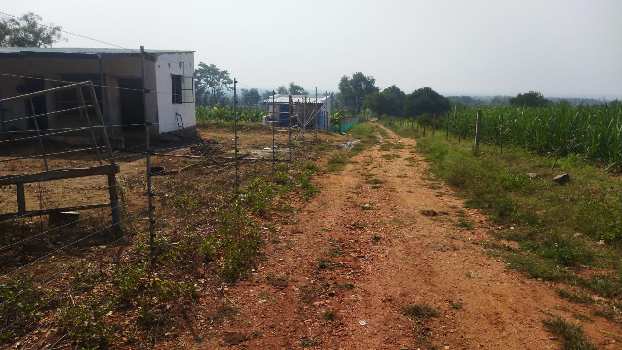 12 Acre Agricultural/Farm Land for Sale in Nanjangud, Mysore