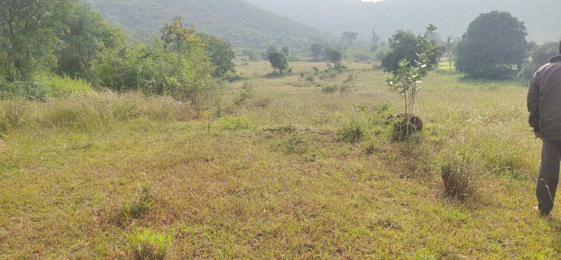 2.50 Acre Agricultural/Farm Land for Sale in Nanjangud, Mysore