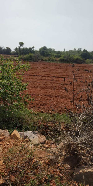 46 Acre Agricultural/Farm Land for Sale in Piriyapatna, Mysore