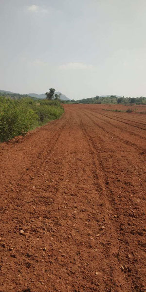 6 Acre Agricultural/Farm Land for Sale in Nanjangud, Mysore