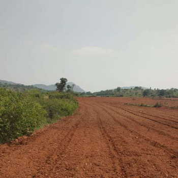 150 Acre Agricultural/Farm Land for Sale in Kadiri, Anantapur