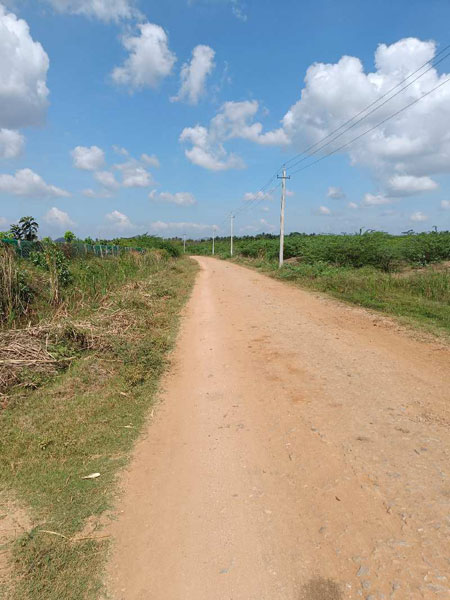 10 Acre Agricultural/Farm Land for Sale in Kollegal, Chamrajnagar