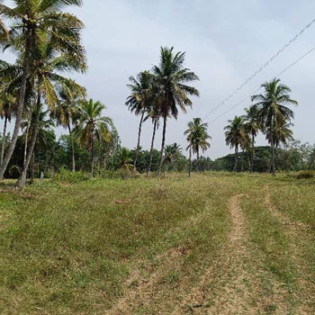 4.50 Acre Agricultural/Farm Land for Sale in Malavalli, Mandya