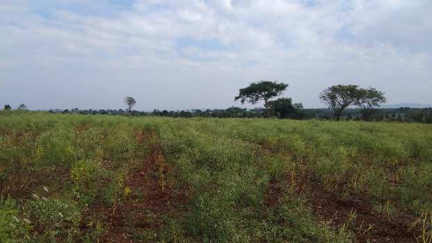 4 Acre Agricultural/Farm Land for Sale in Nanjangud, Mysore