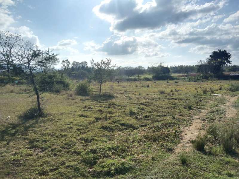 2.30 Acre Agricultural/Farm Land for Sale in Gundlupet, Chamarajanagar
