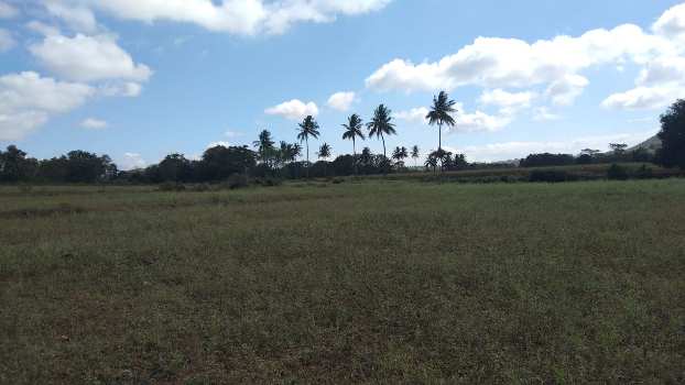 2.21 Acre Agricultural/Farm Land for Sale in Gundlupet, Chamrajnagar