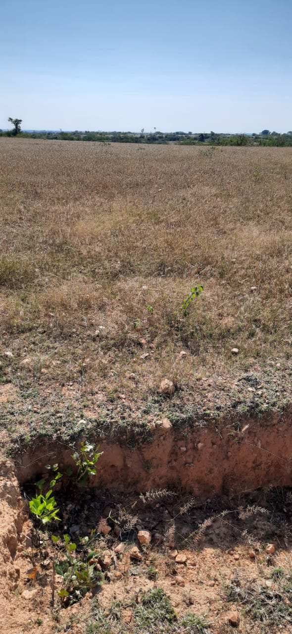 5 Acre Agricultural/Farm Land for Sale in Madakasira, Anantapur