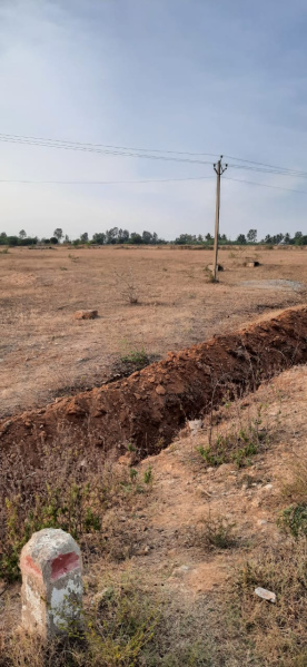 8 Acre Agricultural/Farm Land for Sale in Madhugiri, Tumkur