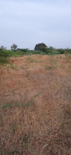 6 Acre Agricultural/Farm Land for Sale in Madhugiri, Tumkur