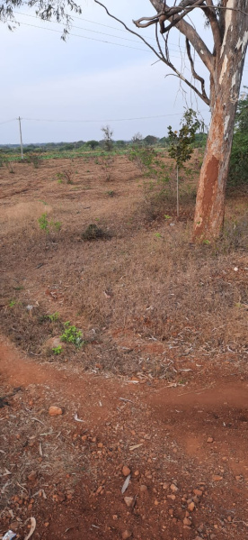 6 Acre Agricultural/Farm Land for Sale in Madhugiri, Tumkur