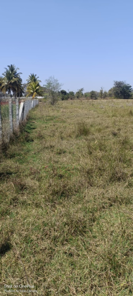 1 Acre Agricultural/Farm Land for Sale in Pete Beedhi, Mandya