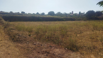 4.50 Acre Agricultural/Farm Land for Sale in Denkanikottai, Krishnagiri
