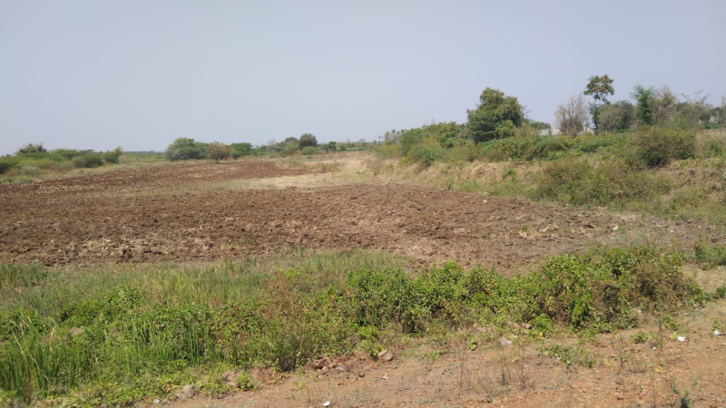 5 Acre Agricultural/Farm Land for Sale in Nanjangud, Mysore