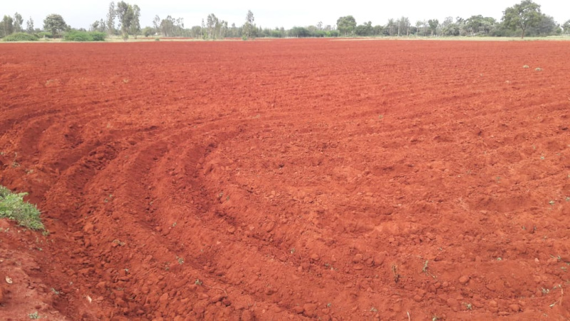 4.50 Acre Agricultural/Farm Land for Sale in T Narasipura Road, Mysore