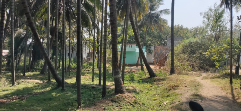 1 Acre Agricultural/Farm Land for Sale in Marandahalli, Dharmapuri