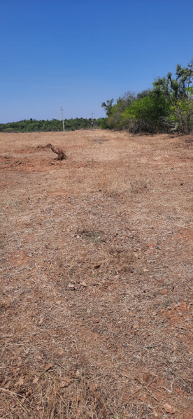 5 Acre Agricultural/Farm Land for Sale in Madhugiri, Tumkur