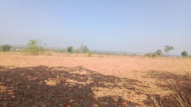 3 Acre Agricultural/Farm Land for Sale in Doddaballapur, Bangalore