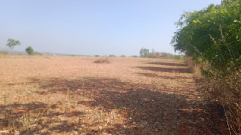 3 Acre Agricultural/Farm Land for Sale in Doddaballapur, Bangalore