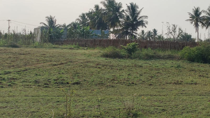 3 Acre Agricultural/Farm Land for Sale in Denkanikottai, Krishnagiri