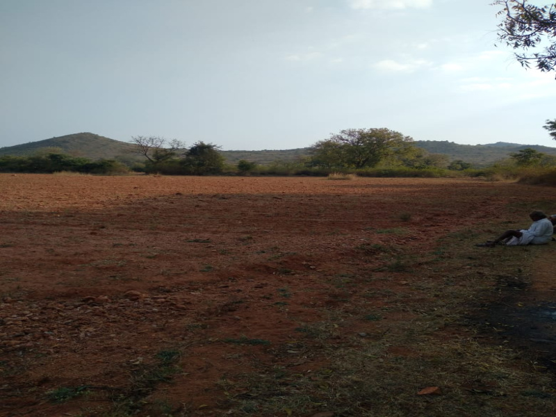 50 Acre Agricultural/Farm Land for Sale in Gundlupet, Chamrajnagar