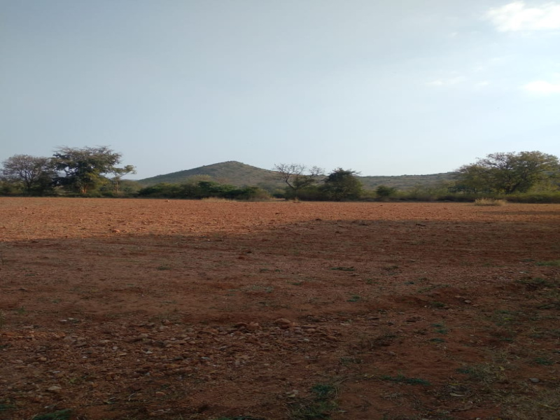 50 Acre Agricultural/Farm Land for Sale in Gundlupet, Chamrajnagar