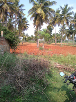 2.50 Acre Agricultural/Farm Land for Sale in Nanjungud Road, Mysore