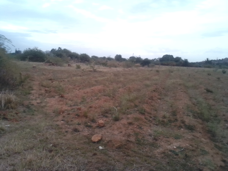 5 Ares Agricultural/Farm Land for Sale in Pavagada, Tumkur