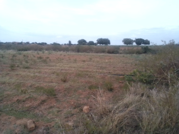5 Ares Agricultural/Farm Land for Sale in Pavagada, Tumkur
