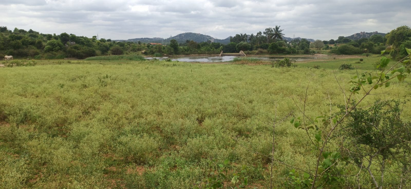 2.50 Acre Agricultural/Farm Land for Sale in Sarjapur Road, Bangalore