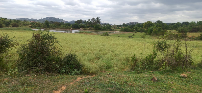 2.25 Acre Agricultural/Farm Land for Sale in Denkanikottai, Krishnagiri