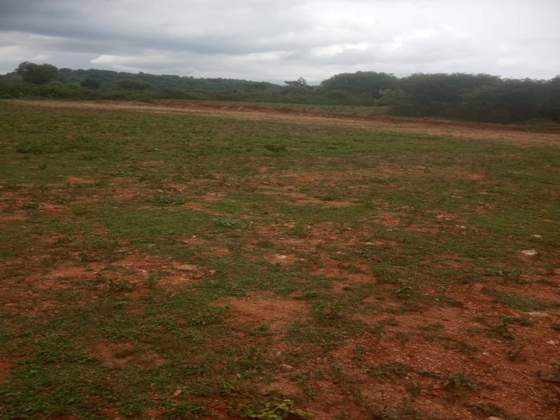 3.50 Acre Agricultural/Farm Land for Sale in Veppanapalli, Krishnagiri