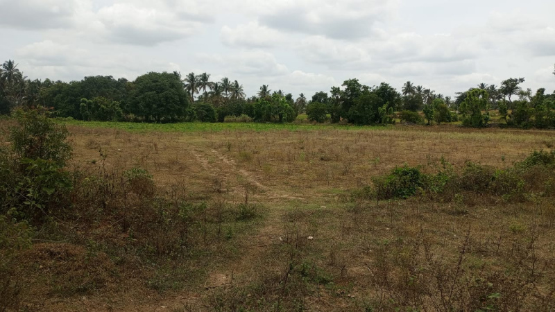 3.50 Acre Agricultural/Farm Land for Sale in Krishnagiri