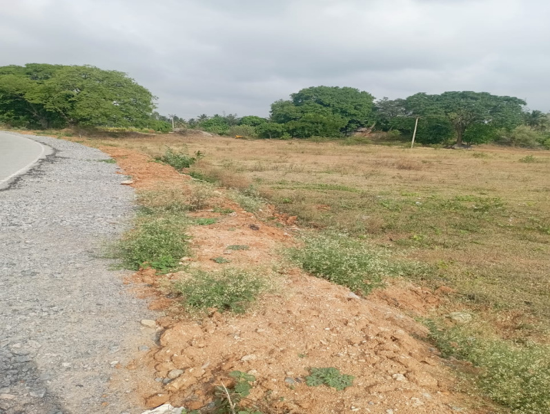 1 Acre Agricultural/Farm Land for Sale in Uddanapalli, Krishnagiri