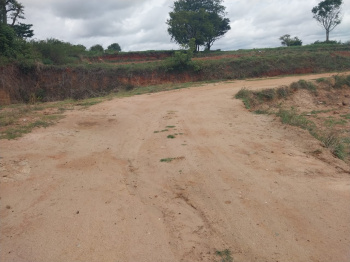 2.14 Acre Agricultural/Farm Land for Sale in Denkanikottai, Krishnagiri