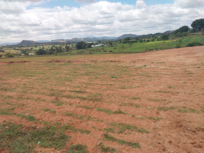 2.14 Acre Agricultural/Farm Land for Sale in Denkanikottai, Krishnagiri