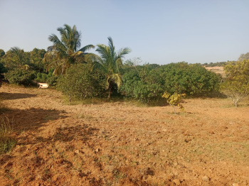5 Acre Industrial Land / Plot for Sale in Shoolagiri, Krishnagiri